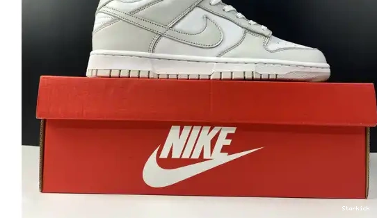 Dust" Dunk "Photon Nike Low DD1503-103 0622